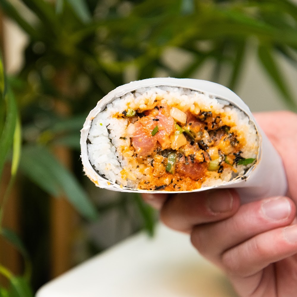 Pokemoto – Hoboken