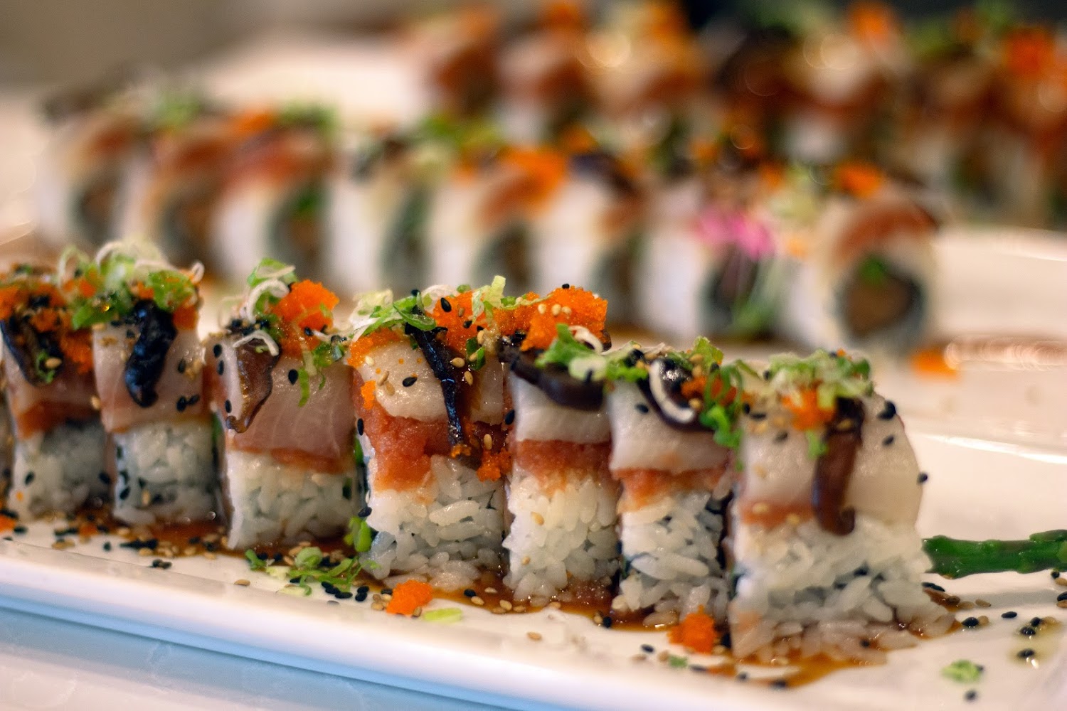 ZukkuSan Sushi Bar and Grill