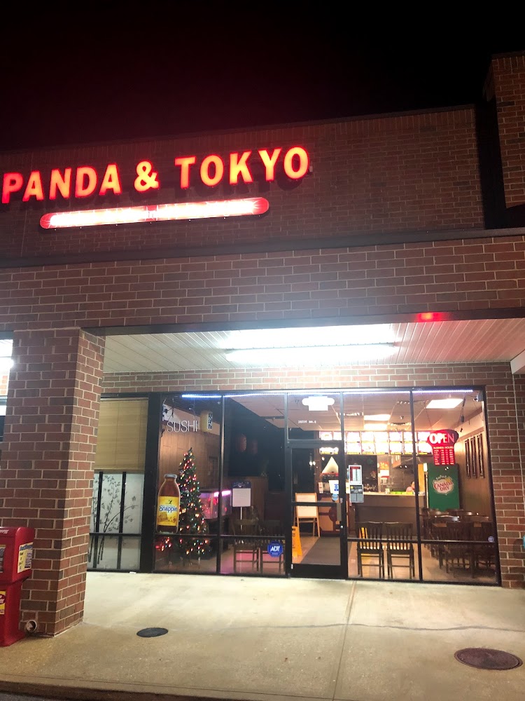 Panda And Tokyo